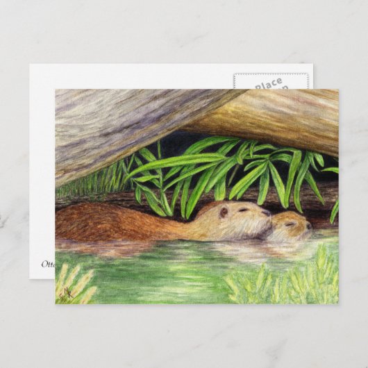 Otters Floating Wildlife Art Briefkaart (Voorkant / Achterkant)