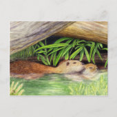 Otters Floating Wildlife Art Briefkaart (Voorkant)