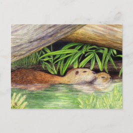 Otters Floating Wildlife Art Briefkaart