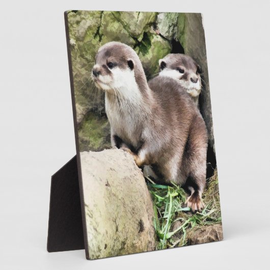 OTTERS FOTOPLAAT (Zijkant)