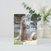 Otters genieten van de zon briefkaart (Staand voorkant)
