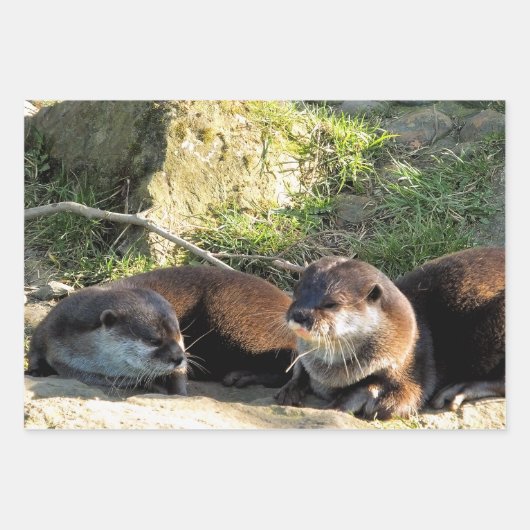 OTTERS INPAKPAPIER VEL (Voorkant 3)
