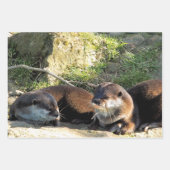 OTTERS INPAKPAPIER VEL (Voorkant 2)
