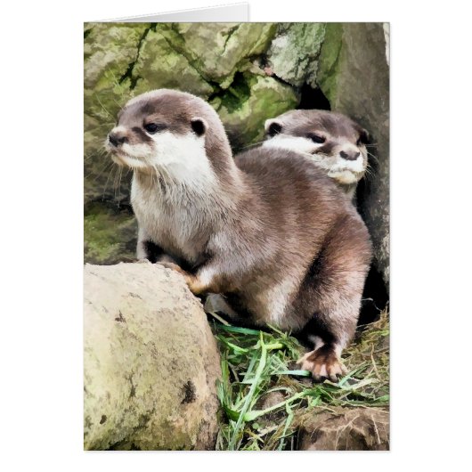 OTTERS-KAART (Voorkant)