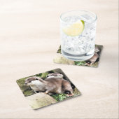 OTTERS KARTONNEN ONDERZETTERS (Insitu)