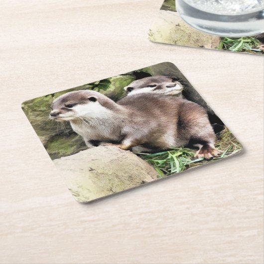 OTTERS KARTONNEN ONDERZETTERS (Schuin)