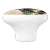 OTTERS KERAMISCHE KNOP (Zijkant)