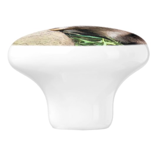 OTTERS KERAMISCHE KNOP (Zijkant)