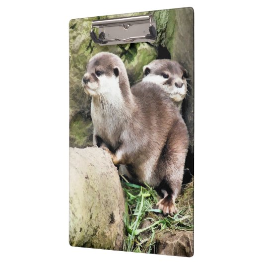 OTTERS KLEMBORD (Links)