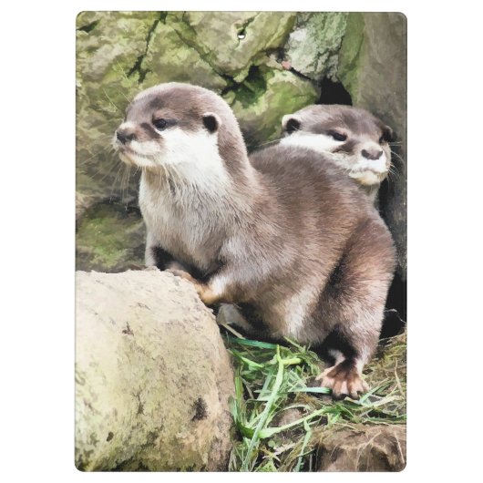 OTTERS KLEMBORD (Achterkant)