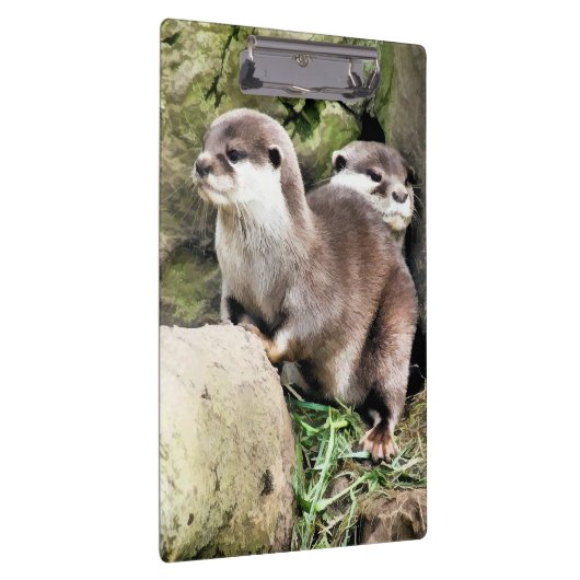 OTTERS KLEMBORD (Rechts)