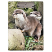 OTTERS KLEMBORD (Voorkant)