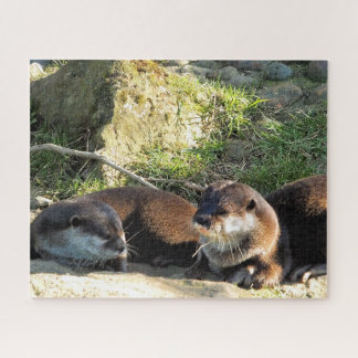OTTERS LEGPUZZEL