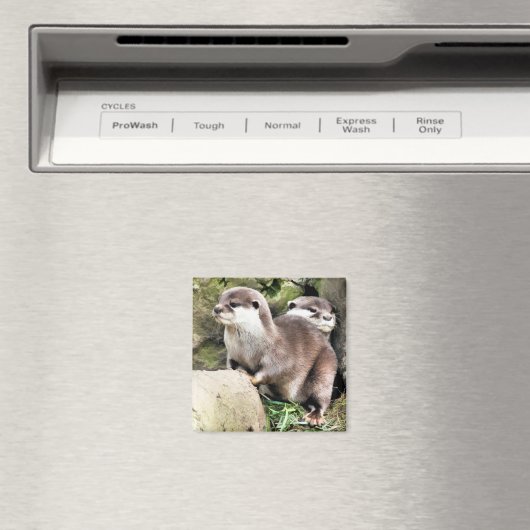 OTTERS MAGNEET (Insitu (Vaatwasser))