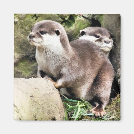 OTTERS MAGNEET (Voorkant)