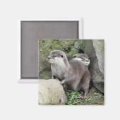 OTTERS MAGNEET (Voorkant / Achterkant)