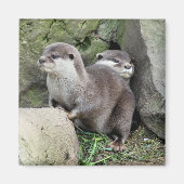 OTTERS MAGNEET (Voorkant)