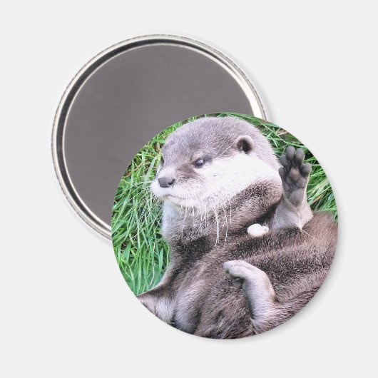 OTTERS MAGNEET (Voorkant / Achterkant)