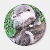OTTERS MAGNEET (Voorkant)