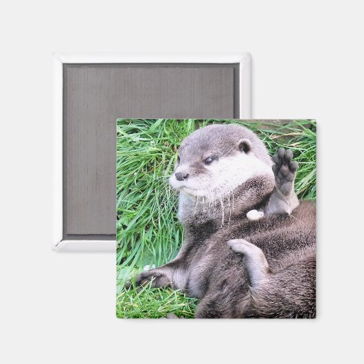OTTERS MAGNEET (Voorkant / Achterkant)