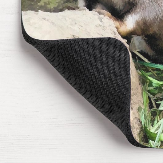 OTTERS MUISMAT (Hoek)