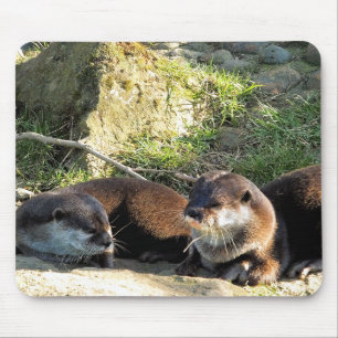 OTTERS MUISMAT
