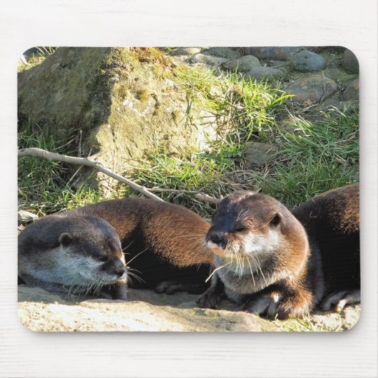 OTTERS MUISMAT (Voorkant)