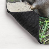 OTTERS MUISMAT (Hoek)