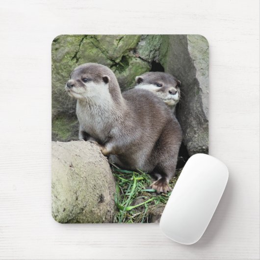 OTTERS MUISMAT (Met muis)