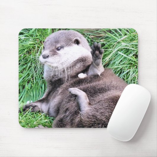 OTTERS MUISMAT (Met muis)