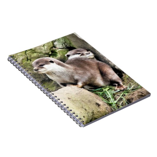 OTTERS NOTITIEBOEK (Rechterzijde)