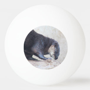 otters pingpongbal