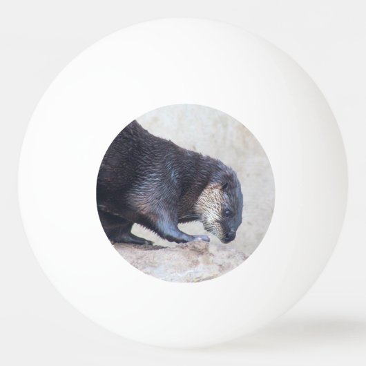 otters pingpongbal (Voorkant)