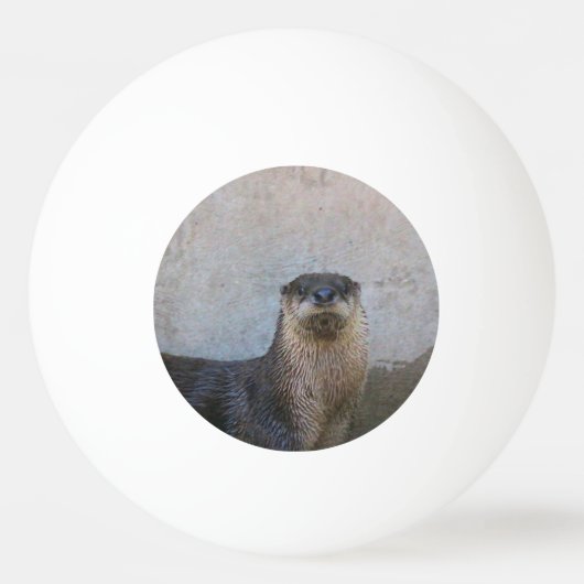 otters pingpongbal (Achterkant)