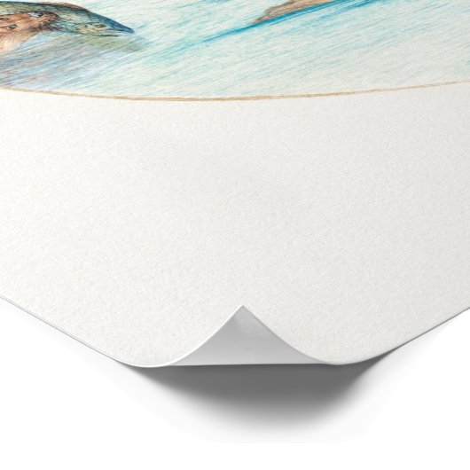  otters poster (Hoek)