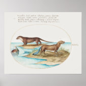  otters poster (Voorkant)