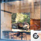 OTTERS RAAMSTICKER (Cafe Raam)