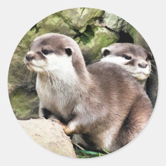 OTTERS RONDE STICKER (Voorkant)