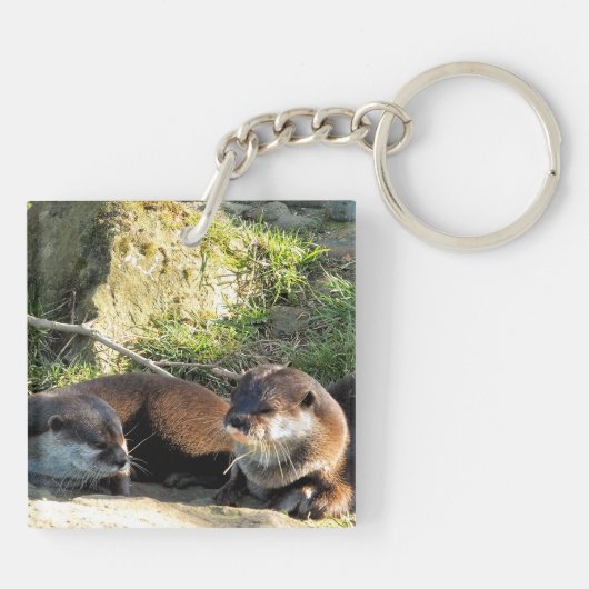 OTTERS SLEUTELHANGER (Achterkant)