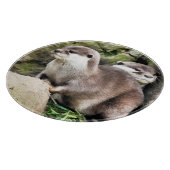 OTTERS SNIJPLANK (Hoek)