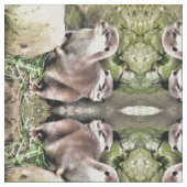 OTTERS STOF (Close Up)