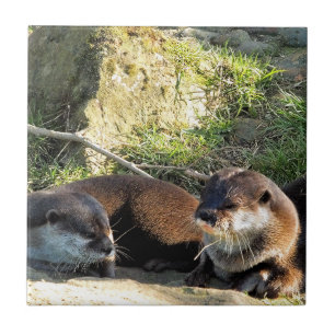 OTTERS TEGELTJE