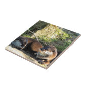 OTTERS TEGELTJE (Zijkant)