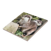 OTTERS TEGELTJE (Zijkant)