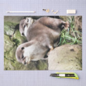 OTTERS TISSUEPAPIER (Craft)