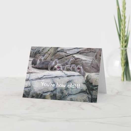 Otters verjaardagskaart kaart (Voorkant)