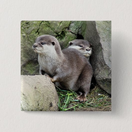 OTTERS VIERKANTE BUTTON 5,1 CM (Voorkant)
