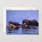 Otters Wildlife Series # 15 Briefkaart (Voorkant / Achterkant)
