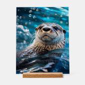 otterzwemmen acryl bord (Voorkant)