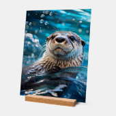 otterzwemmen acryl bord (Hoek)